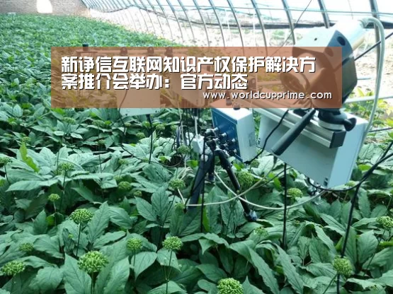 新诤信互联网知识产权保护解决方案推介会举办:官方动态(图2) 举办城市